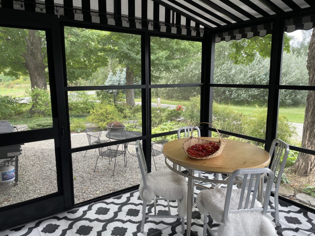 View from inside a deck canopy with custom screen panels.